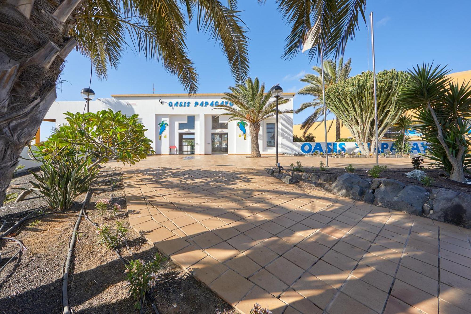 Apartamento Samira Fuerteventura 코라레호 외부 사진